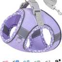 Petank Dog Harness for Small Medium Dogs No Pull, Puppy Harness and Leash Set, Step in Dog Harness for Walking, Running, Training, Small Dog Vest(Purple, S)