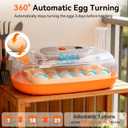 Incubators for Hatching Eggs, 24 Egg Incubator, Automatic Egg Turner with Humidity Control & Digital Temperature, Hatch Day, Auto Water Refill, 360Viewing for Chicken, Duck, Quail, Duck, Goose