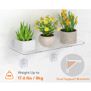 Lifewit 6" Extra Wide & Strong Window Plant Floating Shelf , Heavy Duty Acrylic Suction Cup Shelf, Sill Extender for Succulent Plants, Seed Starter Pots, Herb Planters 38 x 15 cm/15.2x6 LifeWit Shelf