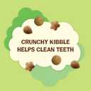 Purina Friskies Made in USA Facilities, Natural Cat Treats, Party Mix Natural Yums Catnip Flavor - 20 Ounce (Pack of 1) (EXP 09/01/26)