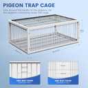 Pigeon Trap Cage Bird Traps for Small Birds Folding One-Way Entrance Trapping Portable U-Trap Door for Dove Feral Breeding Supply Pigeon Coop