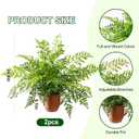 2 Pack Artificial Fern Plants in Pots Artificial Boston Ferns Potted Plants Faux Fern Bush Plant Shrubs Greenery for Outdoor Indoor Porch Patio Farmhouse Garden Living Room Office Table Decor (Type 2)