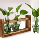 Glass Plant Propagation Station Butterfly Planter Vase with Wooden Stand Birthday Gifts for Women Mom Plant Lovers Office Home Decoration