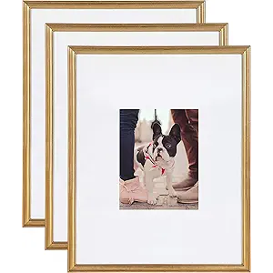 Set of 3 Picture Frames 17x21