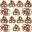 Boao Chinese Fortune Coins Feng Shui I Ching Good Luck Coins Traditional Brass New Year Favor with Red String for Wealth and Success, 5 Styles(30 Pieces)