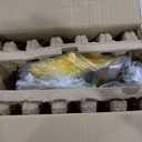 RETRO JUMP Inflatable Water Slide, Flamingo Water Park Bouncy Castle, 9 in 1 Waterslides with Climbing Wall, Splash Pool, Toy Market Stand, Bounce Area, Water Cannon, Basketball Rim, Sprinkler and Blower