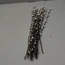 20 Pcs Natural Preserved Dried Flowers Real Pussy Willow Branches for Vases Tall Artificial Pussywillow Stems 19.7" White Snow Pussywillows for Home Decor Indoor Wedding Party Hotel Fireplace