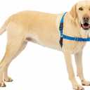 PetSafe Easy Walk No-Pull Dog Harness - Ultimate Harness to Help Stop Pulling - Pull-Free Walks - Take Control & Teach Better Leash Manners - Patented Martingale Loop Design - Royal Blue, Large