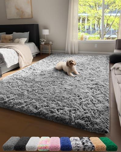 Ophanie Upgrade 4x6 Rugs for Bedroom, Grey, Fluffy Shaggy Soft Area Rug, Gray Non-Slip Indoor Floor Carpet for Living Room, Kids Baby Boys Teen Dorm Home Decor Aesthetic, Nursery, Rug