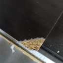 ClosetMaid Pantry Cabinet Cupboard with 2 Doors, Adjustable Shelves, Standing, Storage for Kitchen, Espresso