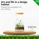 DIY Terrarium Kit for Plants Build a SelfSustaining Closed Ecosystem Supplies for Up to68 oz(12Liter) Succulents, AirPlants(Tillandsia), Fern Jar Not Included