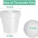 Vensovo 6 Inch White Terracotta & Clay Pots for Plant with Saucer - 4 Pack Medium Terra Cotta Planter with Drainage Hole, Flowerpot for Indoor Outdoor Plants, Crafts, Wedding Favor