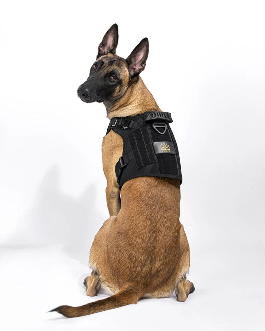 Dog Tactical Vest Velcro, No Pockets