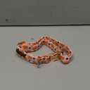 Unique style paws Dog Collar Metal Buckle Collar for Autumn Winter Christmas for Small Medium Large Boys Girls Dogs (Pink pumpkin)