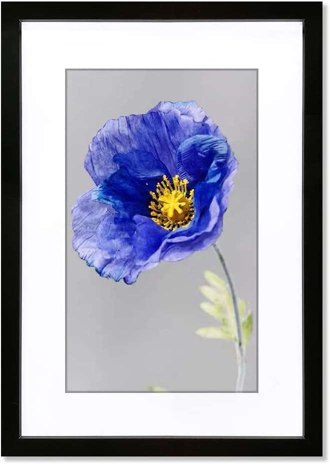 VNVNK 16x24 Frame Black, Perfect for 16x24 Inch Picture without Mat or 14x20 Inch Picture with Mat, Home Wall Decor Picture Frame-1 PCS