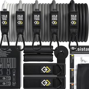 Resistance Bands Set - Premium Exercise Bands with Handles - Resistance Tubes for Men and Women - Professional Home Gym Fitness Equipment for Full Body Workout and Strength Training