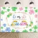 AIBIIN 7x5ft St. Patrick's Day Gender Reveal Banner Shamrock Four Leaf Clovers Baby Shower Photography Background He or She Boy or Girl Cake Smash Decorations Pots of Gold Pastel Photo Studio Props