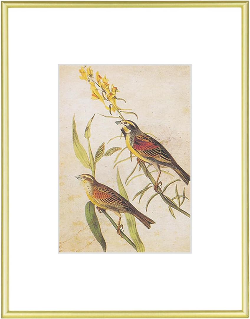 8.5x11 Picture Frame, Matte Gold Thin Aluminum Metal Photo Frame with HD Glass, Fits 5x7 with Mat or 8.5 x 11 without Mat, for Tabletop and Wall Mounting