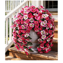 HyeFlora Artificial Flowers for Outdoors, 2pcs Faux Silk Pansies Flowers UV Resistant Fake Hanging Flower Plants for Outside Planters Porch Yard Patio Window Box (Mix Rose)