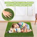 2 Pack 26"x30" Dog Grass Pee Pads, Reusable Artificial Grass Turf Rug for Puppy & Cats, Washable Fake Grass Mat Dog Pee Pad Replacement Outdoor Indoor Potty Training Pads with Drainage Holes