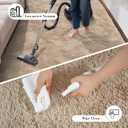 Fluffy Rug Shaggy Area Rug, Beige 2x4 Area Rugs for Bedroom, Small Bedside Rug, Soft Fluffy Shaggy Entryway Throw Rugs for Living Room Bedroom Kids Room Home Decor