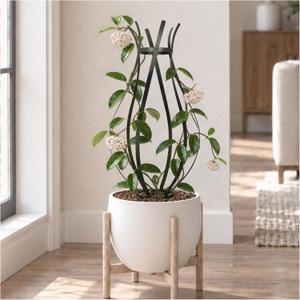 Trellis for Climbing Plants Outdoor, 32" H Obelisk Garden Decor, 14" W x 32" H