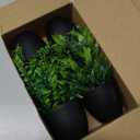 Der Rose Fake Plants 4 Packs Artificial Plants Small Faux Plants Black Bathroom Accessories for Halloween Bathroom Home Kitchen Coffee Table Office Desk Decor Indoor (Green)