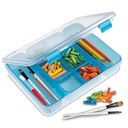 STERILITE Divided Case, Multicolor