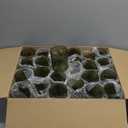 Qinyoung 48 Plastic Vintage Drinking Glasses 8.5oz Stemless Retro Embossed Glasses Shatterproof Reusable Cups for Baby Shower Wedding Reception Grand Event Party (Dark Green)