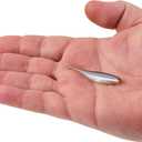 2 x Berkley PowerBait The Champ Minnow Fishing Bait, Green Pumpkin, 2.5in, Irresistible Scent and Flavor, Ideal for Bass and Walleye