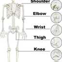 CAMIRUS 5.9FT/185cm Skeleton Halloween Full Size, Life Size Skeleton with Posable Joints Glowing Eyes Skeleton for Halloween Party Outdoor Haunted House Decor