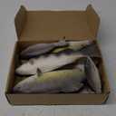 8 Pcs Realistic Fake Fish Toy 6 Types Lifelike Stuffed Artificial Fish Models for Photography Props Party Favor Display Kitchen Decor