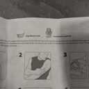 Lingo Continuous Glucose Monitor (CGM). Made by Abbott. Optimize Your Nutrition with Real-time Glucose Data & Insights. 1 Lingo biosensor lasts up to 14 Days*. Works with iOS and Android. US Only.