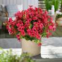 Artificial Flowers for Outdoors, 12 Bundles Artificial Plants & Flowers Outdoor, UV Resistant Faux Flowers Silk Fake Flower for Outside Porch Pot Window Garden Planter Decoration(Fuchsia Pink)