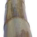 Natural Bamboo Poles, 4" - 4.5" Diameter Large and Extra-Large Poles, Bamboo for Indoor and Outdoor, 3ft, 4ft, 5ft, 6ft, 7ft, 8ft Lengths, Cured, Structural and Décor (4 ft)