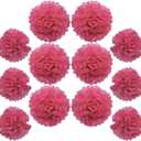 Ruidee 12 Pieces Tissue Paper Pompoms 10in and 12in Hanging Tissue Flowers Decorations Colour Paper Flower Ball for Party Wedding Decoration (ZH/Rose)