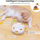 ORSDA Cat Toys for Indoor Cats, 4 in 1 Interactive Automatic Kitten Adult Cat Toy Whack a Mole, Hide and Seek, Moving Magic Wand & Chase Teaser, Rechargeable Touch/Timer Motion& Night DND Mode