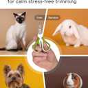 Pet Nail Clippers for Indoor Cats & Small Animals - Precision Angled Blades & Steady Grip - Ideal for Kittens Tiny Dogs Rabbits Birds - Nail Trimmer & Claw Scissors for Home Grooming - eBook + App