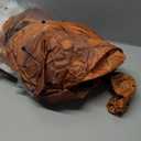 Rubies Jurassic World: T-Rex Inflatable Costume for Adults, Unisex One Size