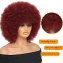 GKtineke Afro Wig 14Inch Afro WIgs for Black Women 70s Afro Kinky Curly Wig Bouncy Huge Fluffy Puff Wigs Synthetic Hair for Cosplay Daily and Party (Burgundy)