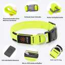 Light Up Dog Collar, Rechargeable USB Collar, Waterproof, Luminous LED Collar, Adjustable, Super Bright, Night Walking for Small Medium Large Dogs, Green, M