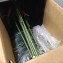 6FT Artificial Palm Tree, Tall Faux Palm Tree Indoor with Black Fake Plants Tall, Artificial Plants with Lifelike Leaves for Home Office Decor (Black)