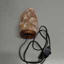 The Body Source Himalayan Salt Lamp | 8-10 in (7-11 lb) | Natural Salt Rock Lamp with Dimmer Switch & Wooden Base | Night Light & Bulb Replacement