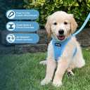 Best Pet Supplies Voyager Step-in Air Harness - All Weather Mesh, Reflective, No Pull Harness for Dogs, Cats - Secure with Hook & Loop Fastener, Buckle, Double D-Rings - Baby Blue, S