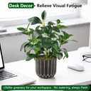 florisso Artificial Succulents with Fig Leaf Greenery in Black & Gold Planter, Fake Succulents Potted Decor for Farmhouse, Bathroom, Bedroom, Kitchen, Office Desk and Coffee Table (Black Gold)