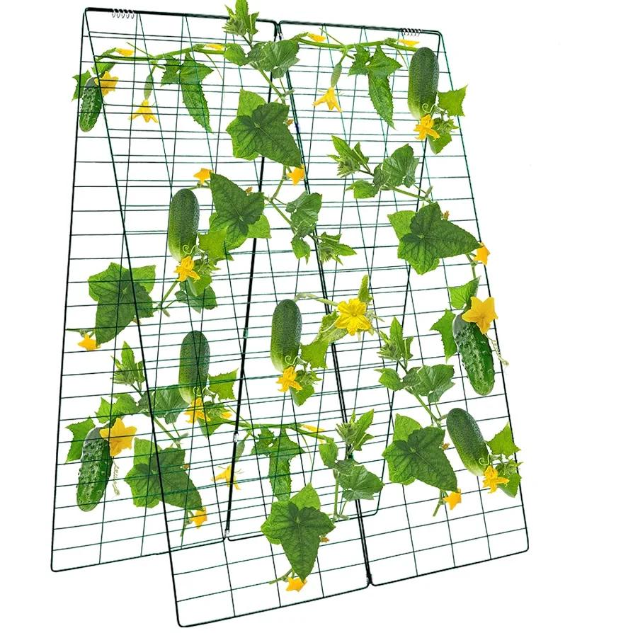 Kyrieval Cucumber Trellis 48" L X 34" W Inches Adjustable A Frame Trellis with 6 pcs Garden Staples for Climbing Plants Outdoor(3 Pack)