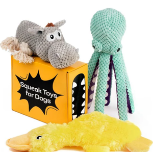 Pet Spy Squeaky Stuffed Dog Toy, Pack of 3