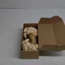 Ling's Moment Ranunculus Artificial Flower, Faux Silk Mini Ranunculus Flowers for DIY Bouquet, Bulk Fake Wedding Filler Flowers for Centerpieces Arrangements Bridal Shower Decorations, Wht-cream