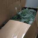 8FT Christmas Tree with 1658 Realistic Branches, Hinged Spruce Full Tree with Solid Metal Stand, Xmas Pine Tree for Home Office Party Decoration, New PE & PVC Material