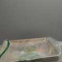 Disposable Litter Boxes (Brown, Large 4-Pack)